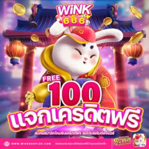 wink666 slide3